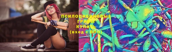 МДПВ Верхнеуральск