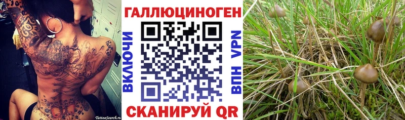 Псилоцибиновые грибы мицелий  Галич 