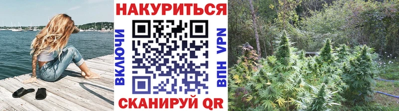 Канабис планчик  цена   Галич 
